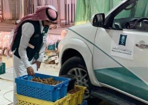 بالصور.. “التجارة” تصادر 6 أطنان من التمور التالفة بالقصيم