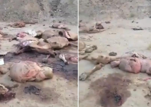 مواطن يوثق مشهد كارثي بالقرب من مركز الشميسي في مكة