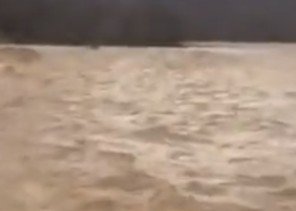 سيول تبوك تجرف معها مجموعة من الابل(فيديو)