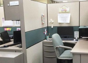 مصادر: توجيهات بسحب قرار فصل الموظف المنقطع عن عمله بسبب التوقيف