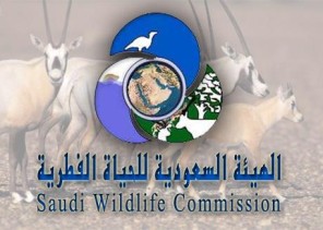 “الحياة الفطرية”: لا صحة لما يتم تداوله عن السماح بدخول محمية حرة الحرة