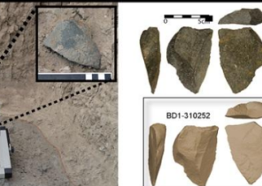 بالصور .. اكتشاف “سكاكين” صنعها البشر منذ أكثر من 2 مليون سنة
