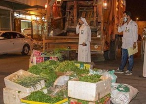 “البيئة”: نعمل على التأكد من سلامة مزارع البقدونس في الجوف‎.. وأمانة جدة تمنع بيعه