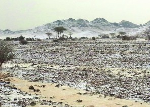 «بالفيديو والصور»البَرد يُغطي جبل الرأس الابيض جنوب حائل