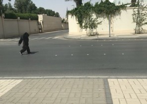 بالصور .. شاهد “غوريلا” تتجول على قدميها مثل البشر في شارع عام بالرياض