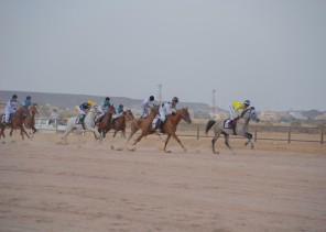 انطلاق سباق السرعة للخيل العربية الأصيلة الثالث على كأس إمارة الباحة غداً الأربعاء