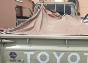 إحباط تهريب 450 حزمة “قات” بـ”شاص” في جازان وقائدها يلوذ بالفرار