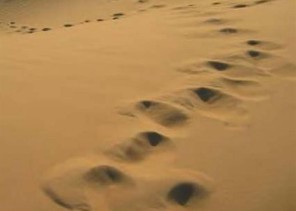 اختفاء مُسن في ظروف غامضة بعد خروجه من شقراء باتجاه الرياض.. والجهات الأمنية تعثر على سيارته