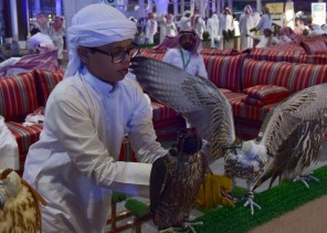 في أول أيام معرض الصقور.. تحقيق مبيعات بأكثر من مليوني ريال (فيديو وصور)