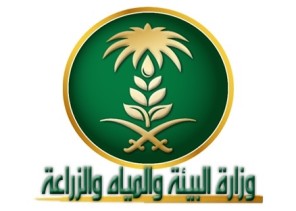 “البيئة” تتوقع استمرار نشاط الجراد الصحراوي بسبب الظروف البيئية