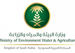 “البيئة” تناقش رفع كفاءة القطاع الزراعي عبر التحول إلى الذكاء الاصطناعي