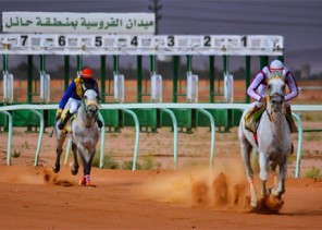 فروسية حائل تقيم حفل سباقها الثامن.. اليوم