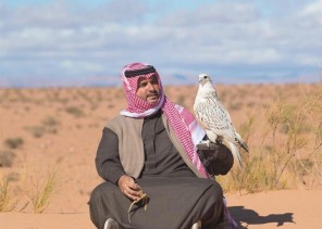 بالصور..الأمير تركي بن محمد يقنص بالصقر النادر الذي أهداه بوتين للملك سلمان