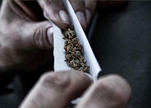 مكافحة المخدرات تُحذر من تعاطي مادة الحشيش المخدرة وتوضح أضرارها الصحية والنفسية