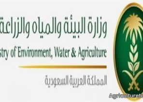 “البيئة” تنثر أكثر من 3 أطنان من بذور النباتات والأشجار الرعوية في أرجاء المملكة