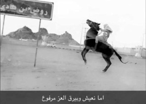 تقرير لصحيفة “الشمال الإلكترونية” مع فرسان “حائل” للكشف عن هواياتهم للخيول