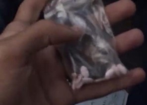 مكافحة المخدرات بجدة تطيح بـ”وافد” تباهى بشرب المسكر وبحيازة حبوب مخدرة .. والكشف عن جنسيته!