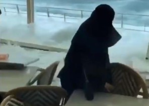 بسبب قوة الموج .. المياة تغرق طريق كورنيش جدة وتكسر الحاجز الحديدي