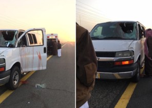 بالصور.. حادث مروع لحافلة معلمات عقب اصطدامها بجمل سائب