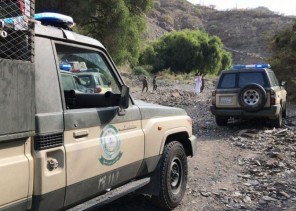 ضبط كميات من الحشيش والأسلحة والذخيرة و2.8 مليون ريال في عدة مناطق