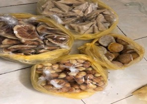 بلدية محافظة محافظة طريف تصادر مواد غذائية غير صالحة للإستخدام البشري