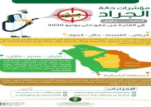 “البيئة”: حالة الجراد الصحراوي في المملكة تحت السيطرة.. وفرق المكافحة جاهزة
