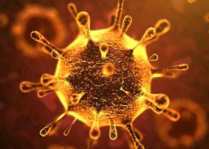 بالفيديو .. متحدث الصحة: يوضح سبب ارتفاع حالات الإصابة بفيروس كورونا في منطقة حائل خلال الأيام الماضية