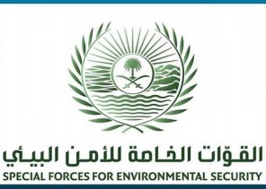 الأمن البيئي: تحديد هوية الأشخاص الذين تم تداول مقطع عن قيامهم بإيذاء سلاحف على أحد شواطئ أملج