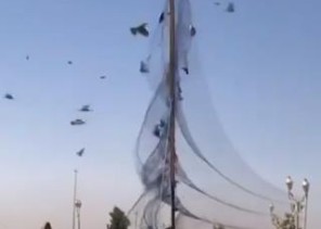 أول تعليق من الحياة الفطرية على فيديو صيد الطيور في أحد المنتزهات العامة