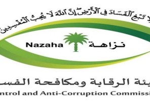 هيئة الرقابة ومكافحة الفساد تباشر (227) قضية جنائية