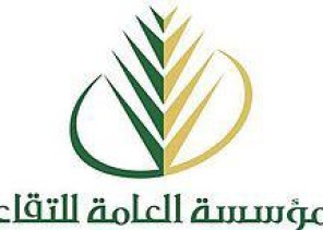 التقاعد: غير المسموح عمل الموظف الحكومي في القطاع الخاص بعد انتهاء ساعات عمله