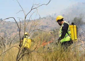 بيان من الدفاع المدني: تواصل الفرق بميسان إطفاء حريق اندلع بجبل عمد بمركز ثقيف.