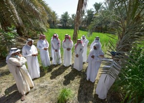 “البيئة” تقيم ندوةً علمية افتراضية ومعرضاً زراعياً بالأحساء.. وتكرِّم عدداً من المزارعين