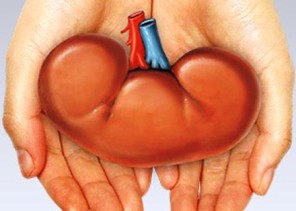 تهاني الرويلي تتبرع بكليتها لوالدتها وتنهي معاناتها مع الفشل الكلوي