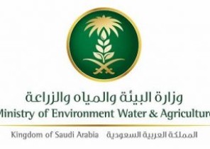 “البيئة”: 3 شركات استزراع مائي تستعد لتصدير من 10 – 15 ألف طن من الأسماك والروبيان إلى روسيا