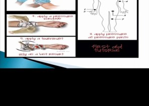 «مهارات الإنعاش القلبي»..برنامج تدريبي لمنسوبي الموارد البشرية بمستشفى «الإمام الفيصل»