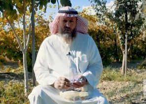 بالفيديو: قصة مواطن يعيش في الباحة ويقوم بزراعة الزغفران منذ 4 أعوام