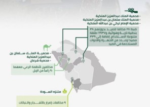 القوات الخاصة للأمن البيئي تضبط 28 مخالفا لأنظمة الصيد وبحوزتهم 38 بندقية نارية