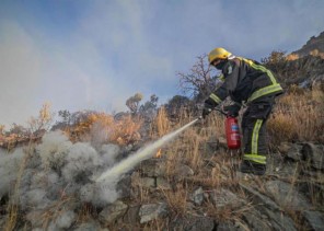 بالفيديو: متحدث الأمن العام يكشف تفاصيل الكشف عن المتسببين في حريق جبل تنومة المفتعل