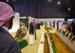 على مدى يومين .. بدء تسجيل المشاركين في مهرجان الملك عبدالعزيز للصقور بالرياض والقصيم