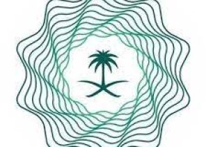 المالية تطلق قنوات دفع إلكترونية إضافية لسداد الرسوم الحكومية