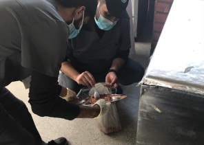 بلدية خميس مشيط تتلف وتصادر نحو 948 كجم من المواد الغذائية الغير صالحة خلال الأسبوع الماضي