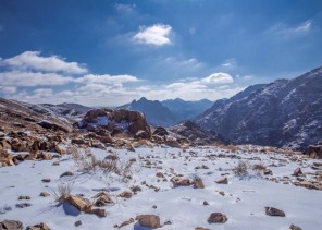 المسند: يكشف عن يومي ذروة الموجة الباردة التي قد تصل فيها درجة الحرارة للصفر المئوي