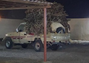 بتعاون الجهات الأمنية .. “البيئة” تصادر 135 طنًا من الحطب المحلي مخبأة داخل مستودع مخالف بالرياض