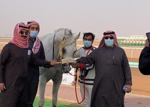 شاهد: لحظة فوز مربط الدواميك للخيول العربية الاصيلة  للمالك محمد صنيتان ابن مرشد     “مرتجز الخالدية” بالشوط الثالث من الحفل الـ 15 بميدان حائل للفروسية