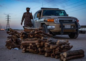 القوات الخاصة للأمن البيئي تضبط أكثر من 12 طناً من الحطب المحلي في مدينة الرياض