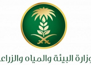 “البيئة” تدعو 135 متقدماً على وظائفها للمقابلة الشخصية ومطابقة البيانات