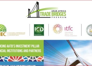 مؤسسات القطاع الخاص التابعة لمجموعة البنك الإسلامي للتنمية تُنظم ندوة عبر الإنترنت