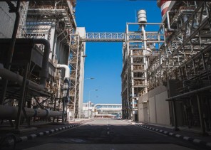 “التحلية” تُخفض الانبعاثات الكربونية 22% من إجمالي المستهدف للمملكة حتى 2030