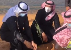 مدير عام فرع وزارة البيئة بالجوف يدشن حملة زراعة ضفاف الجداول المائية بوادي الرصيف